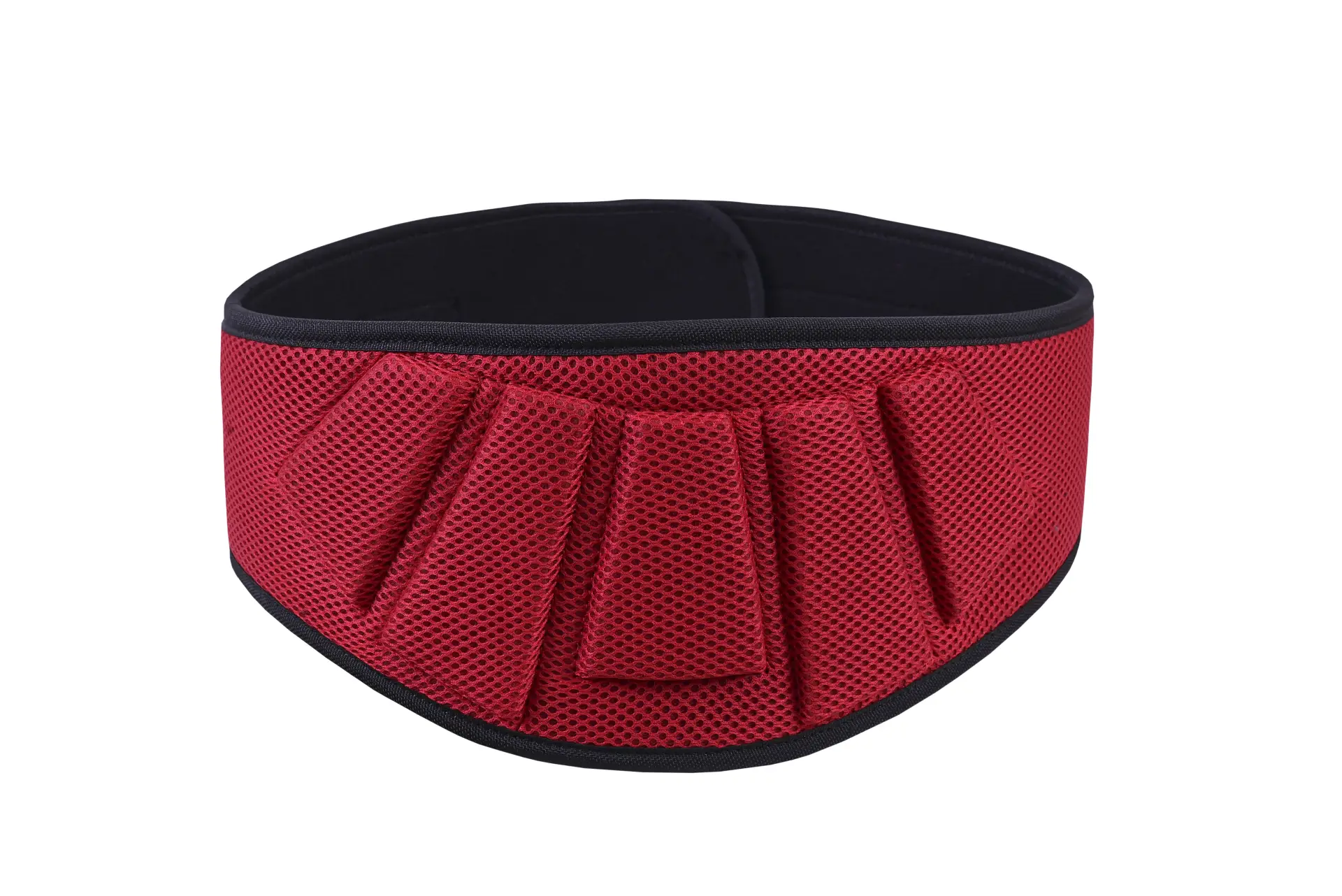 Gym training belt B2B